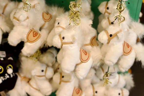 Năm Bính Ngọ 2026 tại Nhà sách Cá Chép